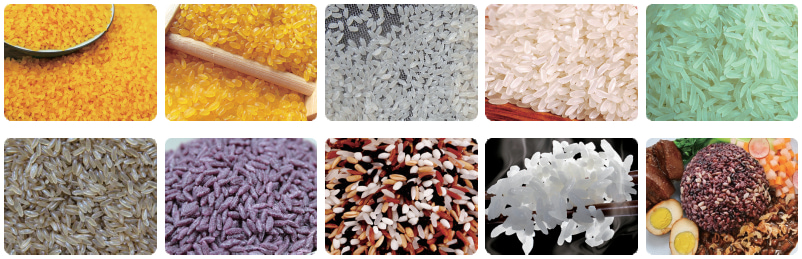 Nutritional Artificial Rice Processing Line